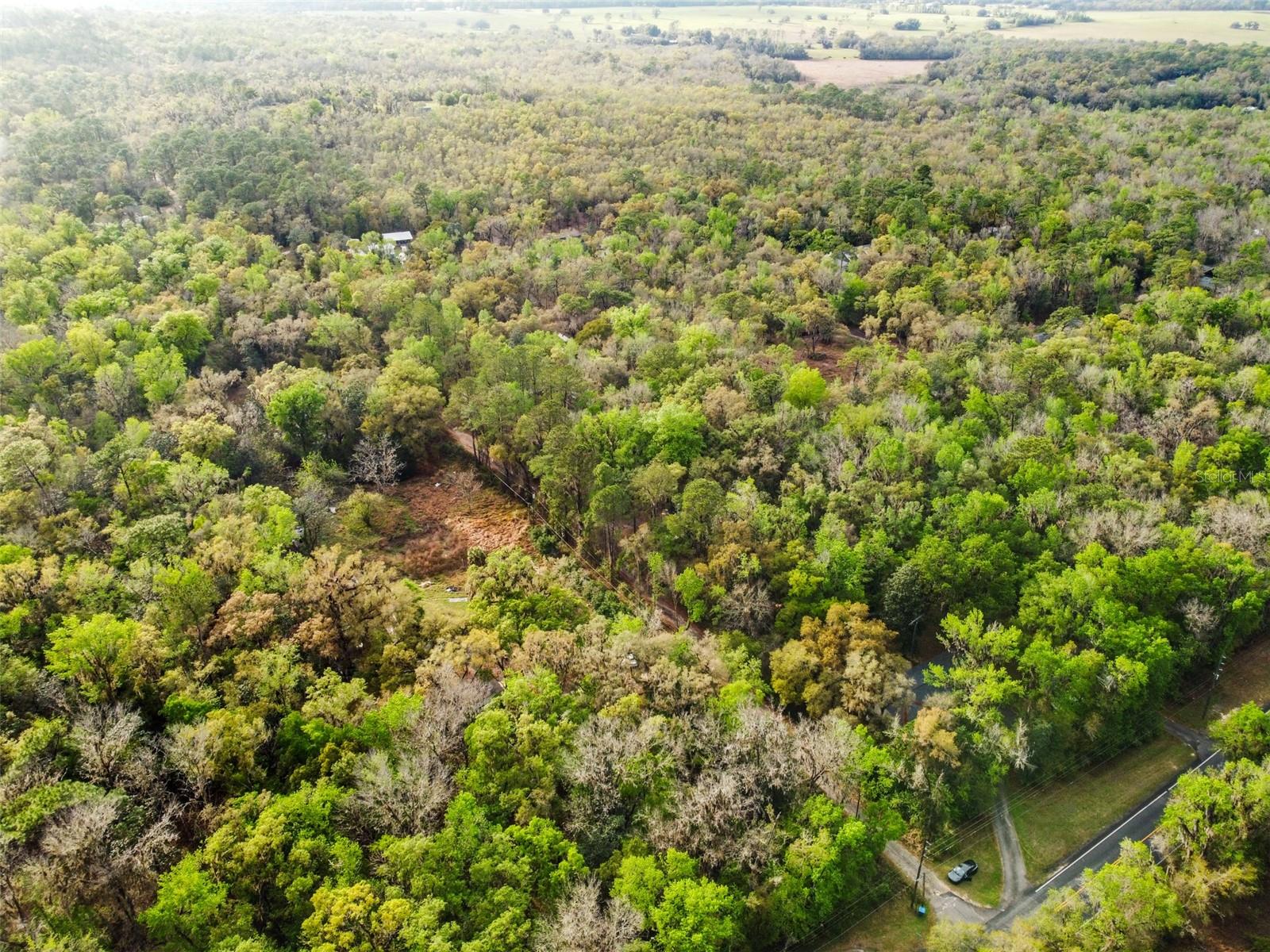 0 CHISHOLM ST, BROOKSVILLE, FL — photo 3