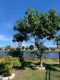 9975 BISHOP CREEK WAY, PUNTA GORDA, FL — photo 6