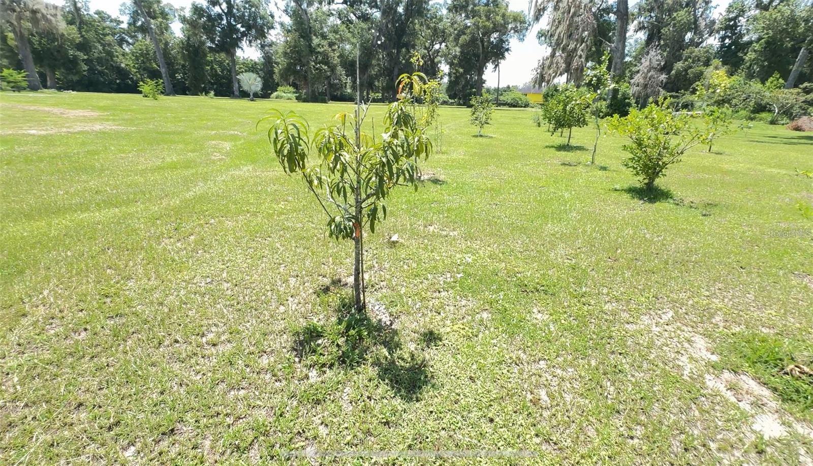 4925 N US HIGHWAY 441, OCALA, FL — photo 9