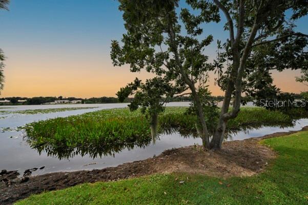 1502 NE BUCKEYE RD NE #2, WINTER HAVEN, FL — photo 44