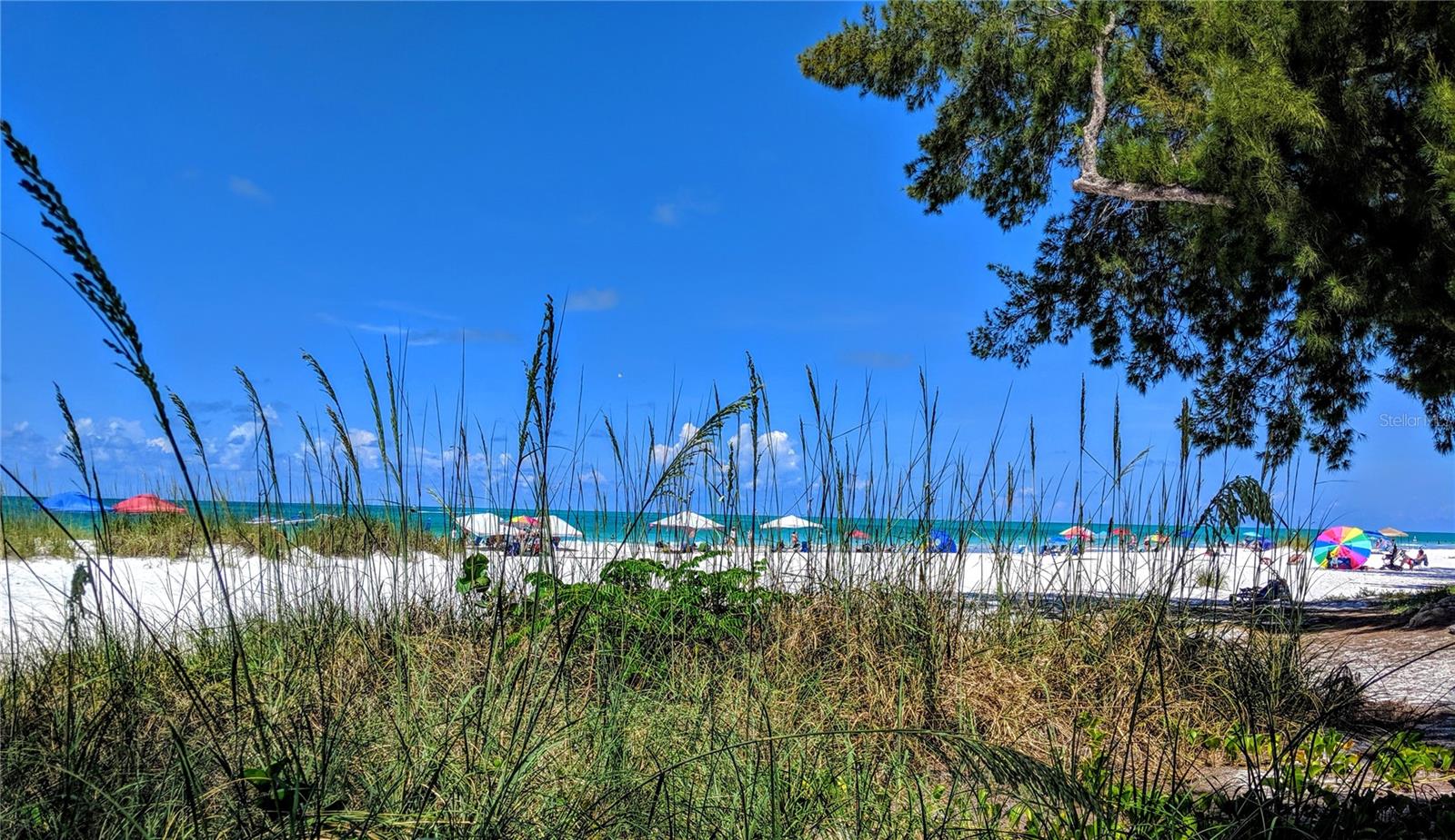3807 LAKE BAYSHORE DR #H-416, BRADENTON, FL — photo 41