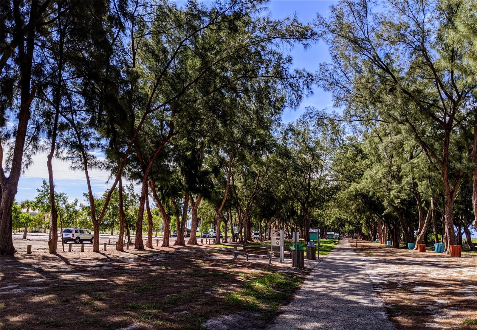 3807 LAKE BAYSHORE DR #H-416, BRADENTON, FL — photo 43