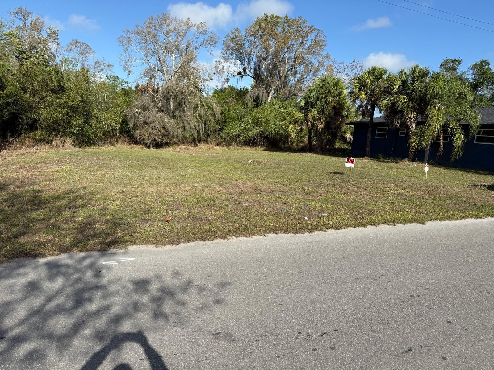 228 SINGLETON AVE, ARCADIA, FL — photo 3