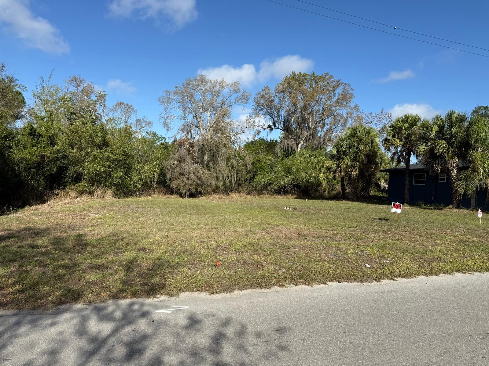 228 SINGLETON AVE, ARCADIA, FL — photo 4