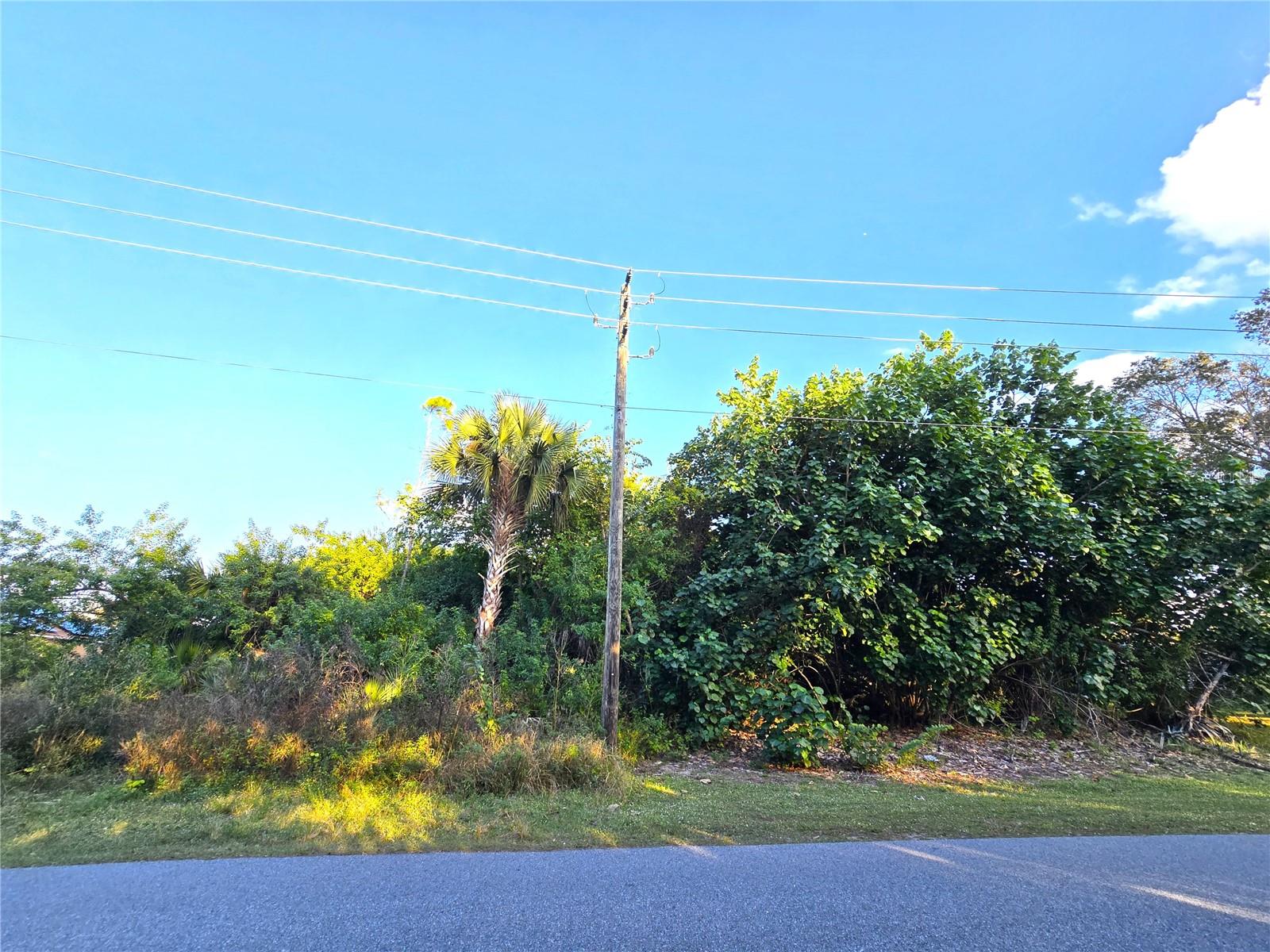 1667 RED BUD CIR NW, PALM BAY, FL — photo 2