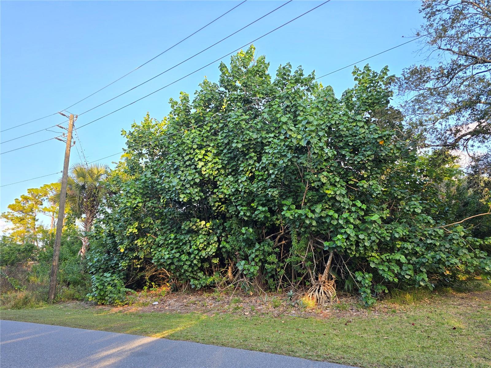 1667 RED BUD CIR NW, PALM BAY, FL — photo 12