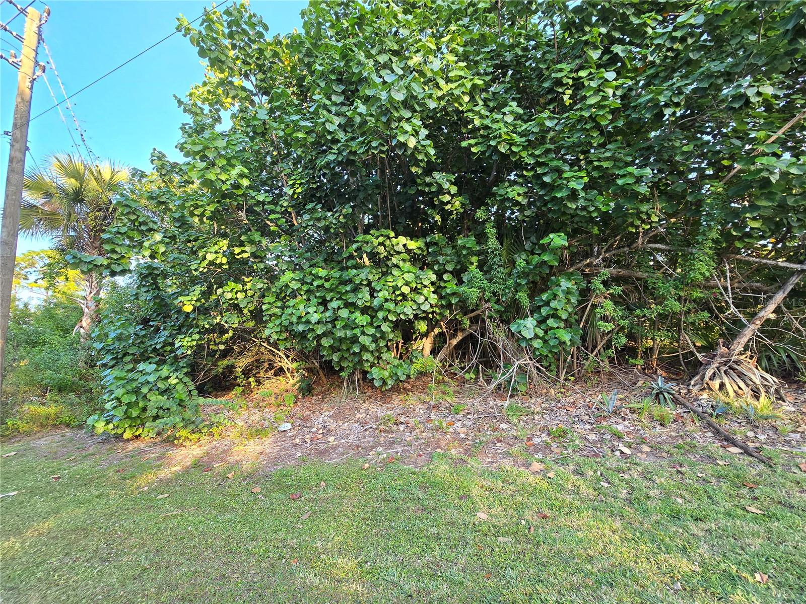 1667 RED BUD CIR NW, PALM BAY, FL — photo 13