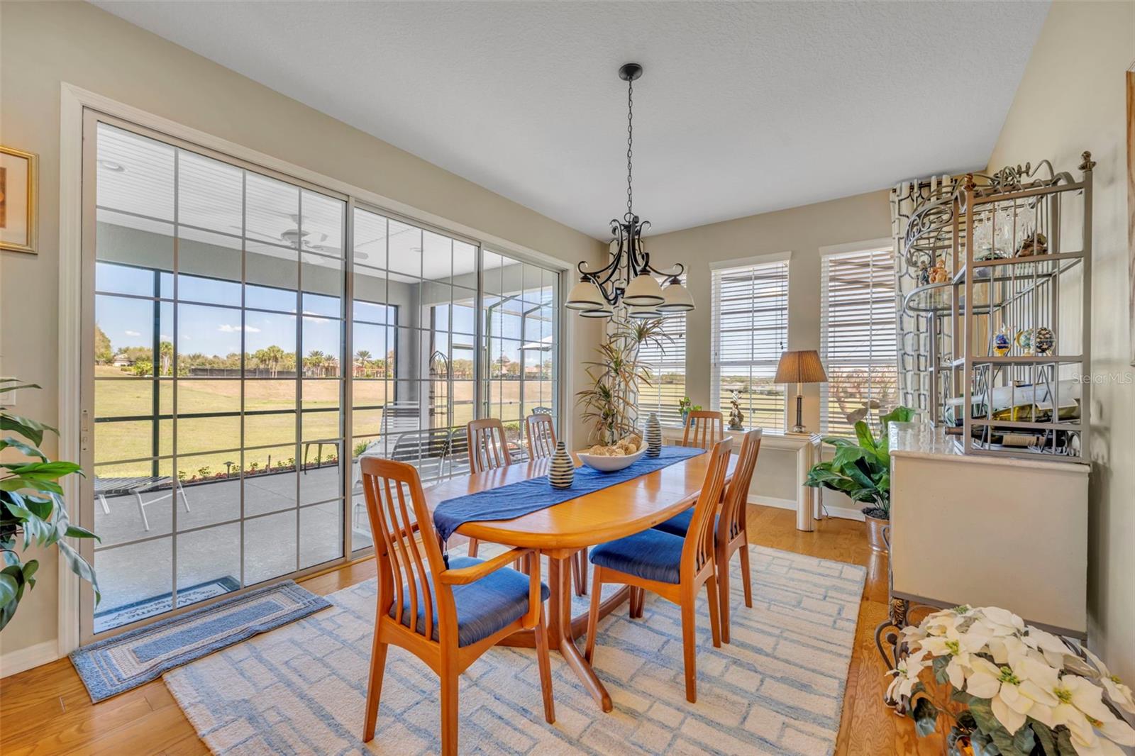 334 SILVER MAPLE RD, GROVELAND, FL — photo 43