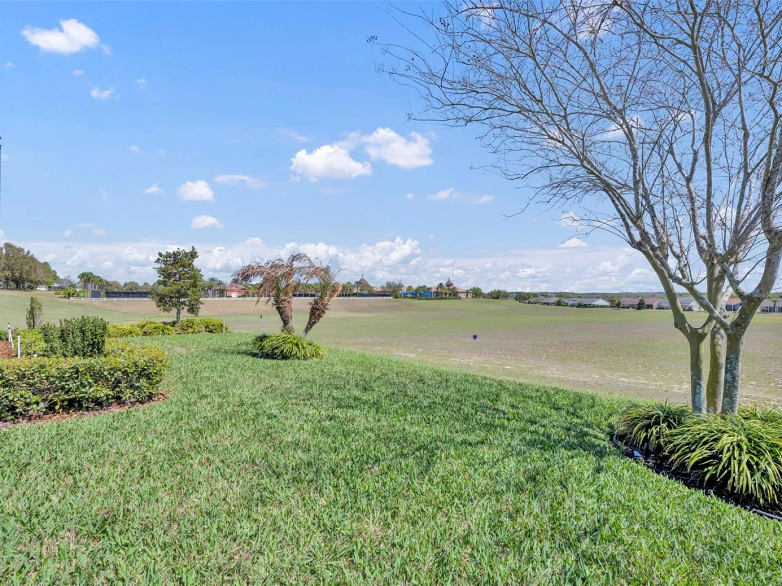 334 SILVER MAPLE RD, GROVELAND, FL — photo 86