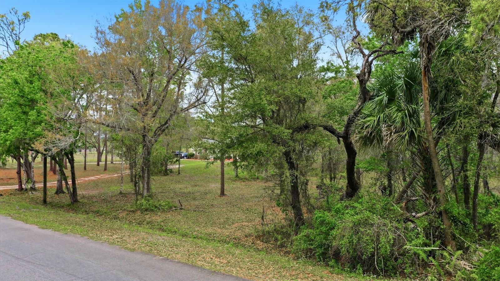 QUINLAN ST, ORLANDO, FL — photo 2