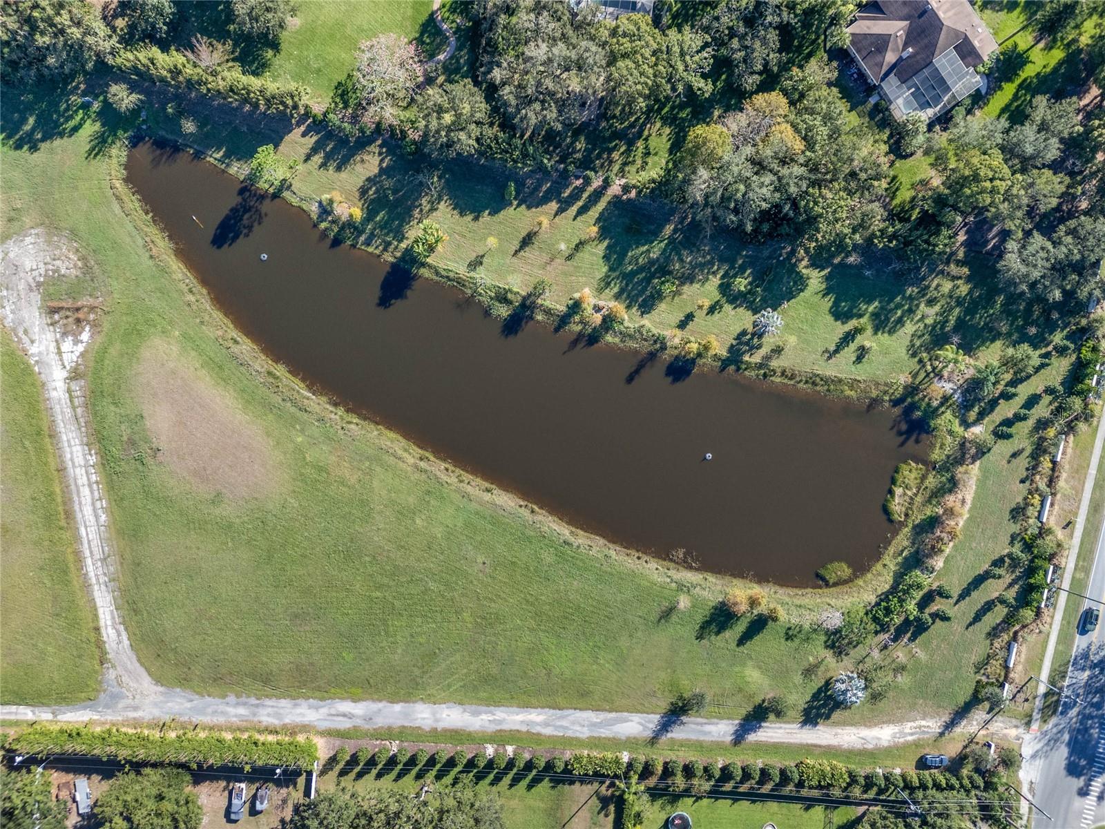 10948 DOWN PARK LN, WINDERMERE, FL — photo 11