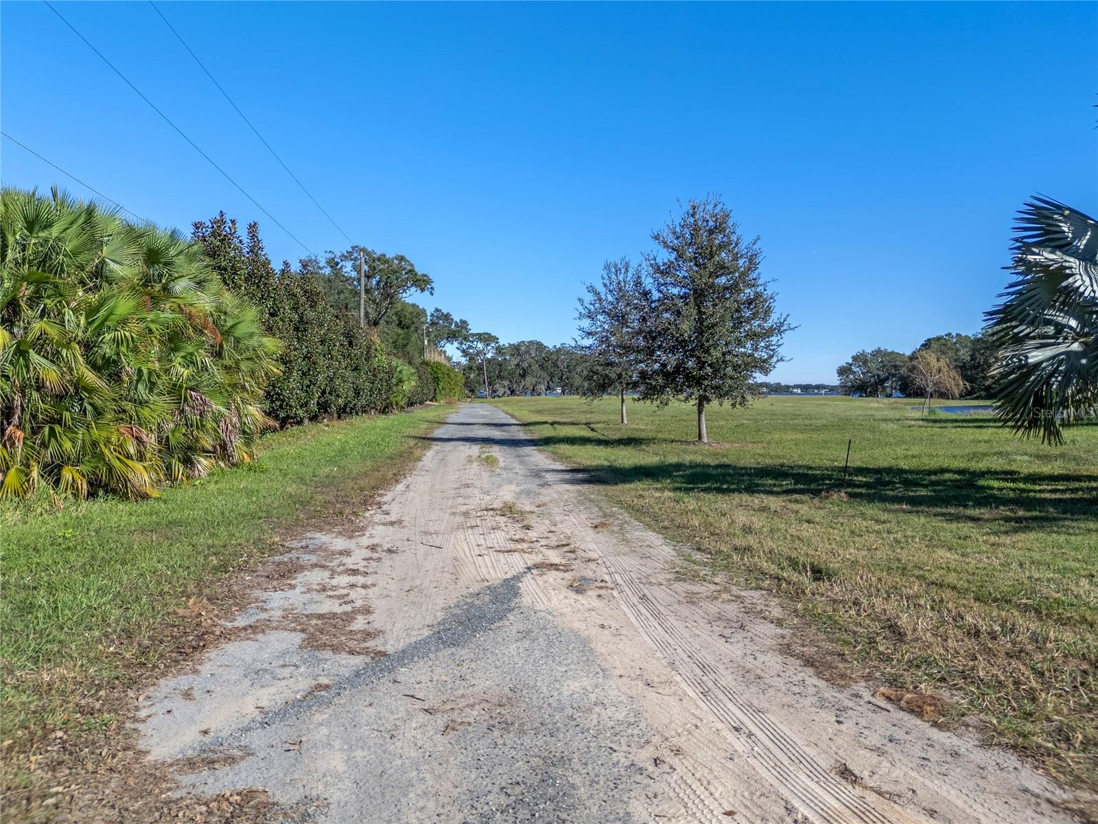 10948 DOWN PARK LN, WINDERMERE, FL — photo 21
