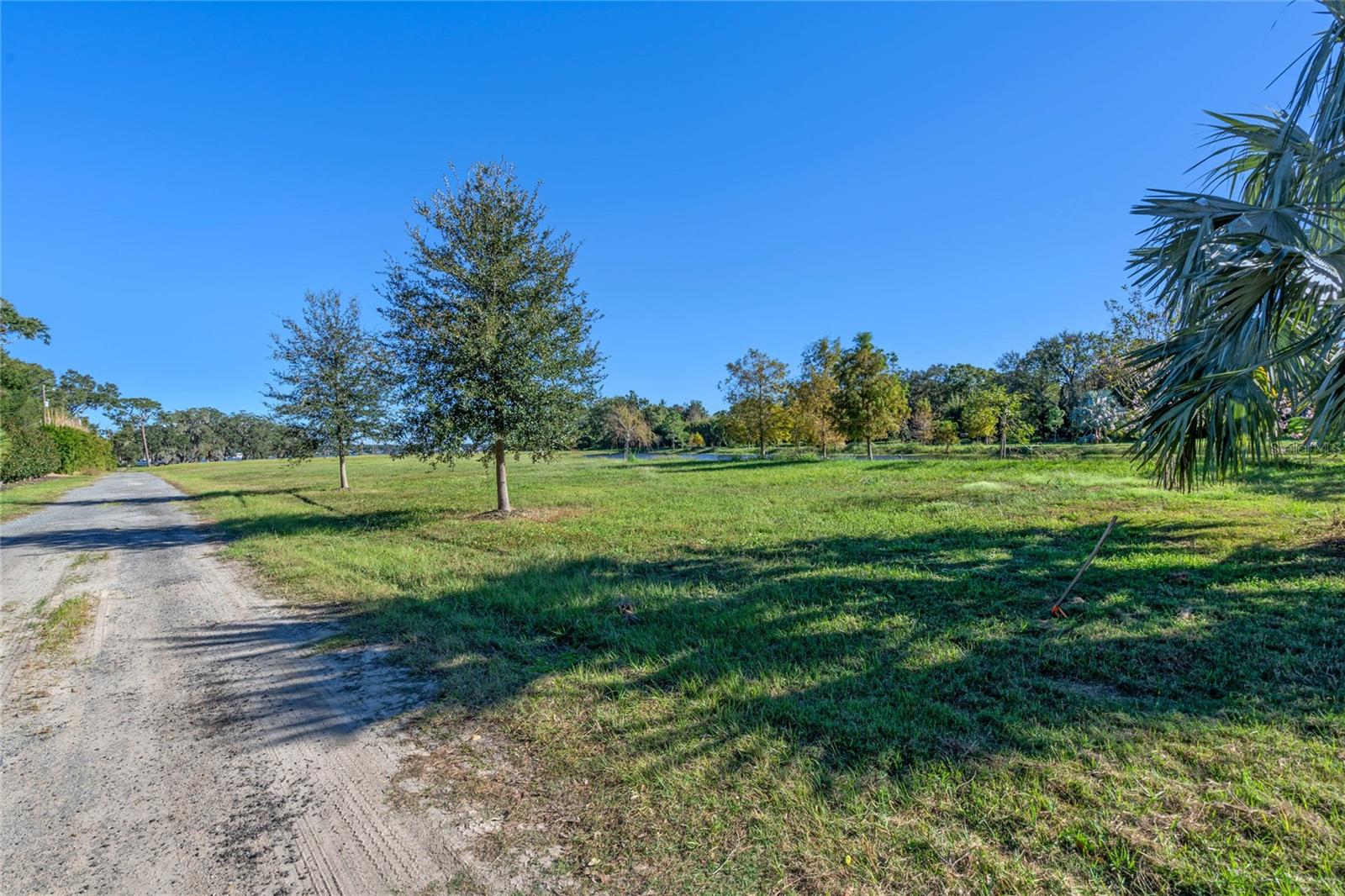 10948 DOWN PARK LN, WINDERMERE, FL — photo 22