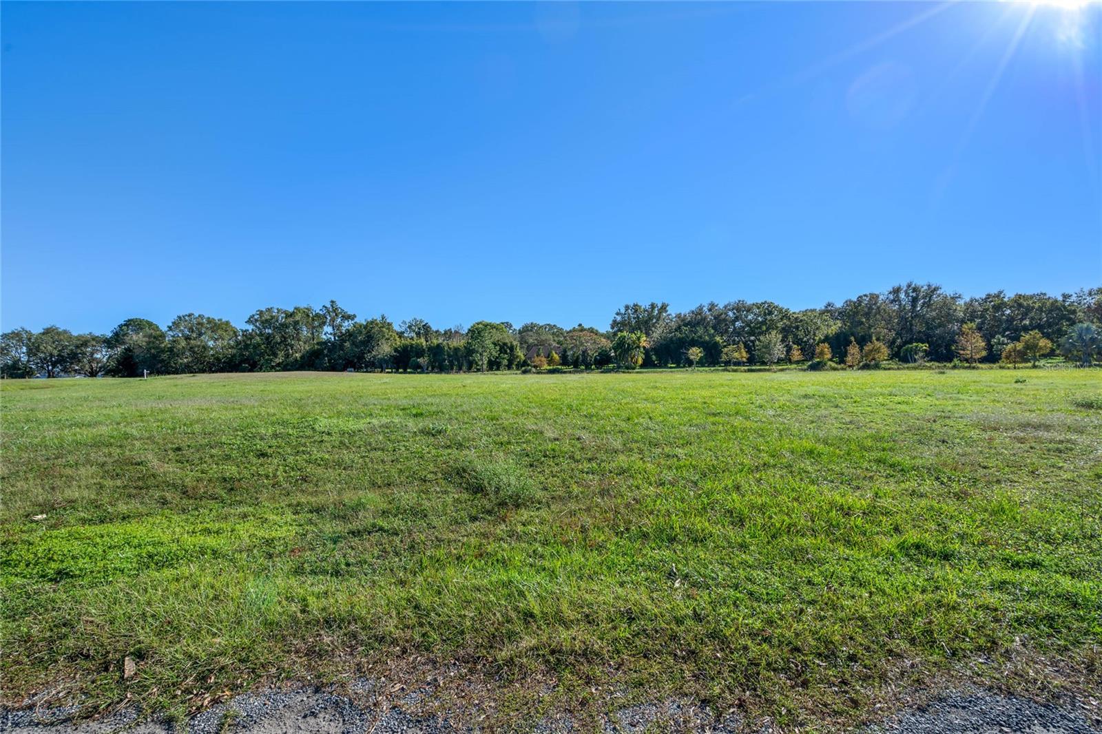 10948 DOWN PARK LN, WINDERMERE, FL — photo 23