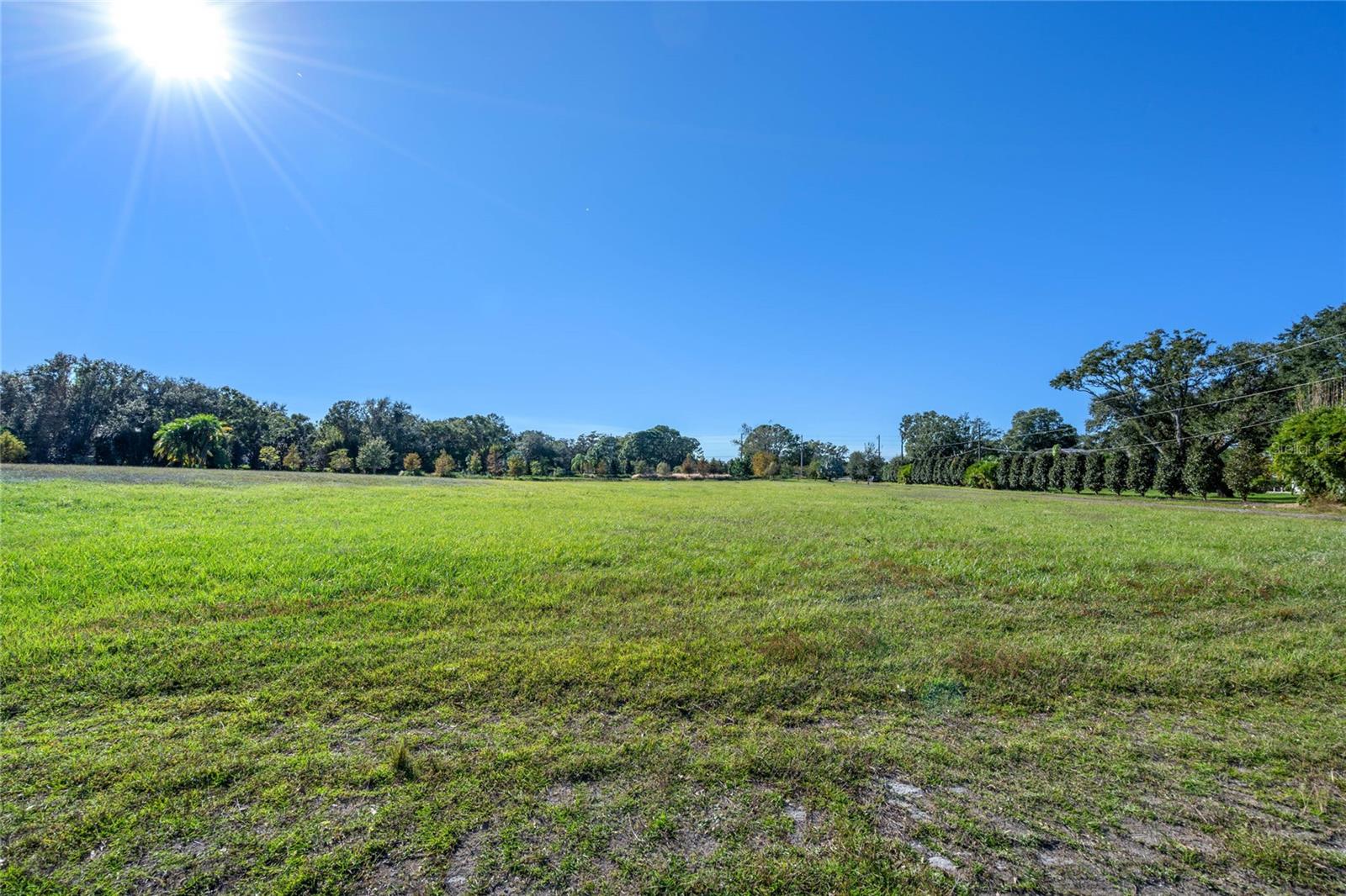 10948 DOWN PARK LN, WINDERMERE, FL — photo 24