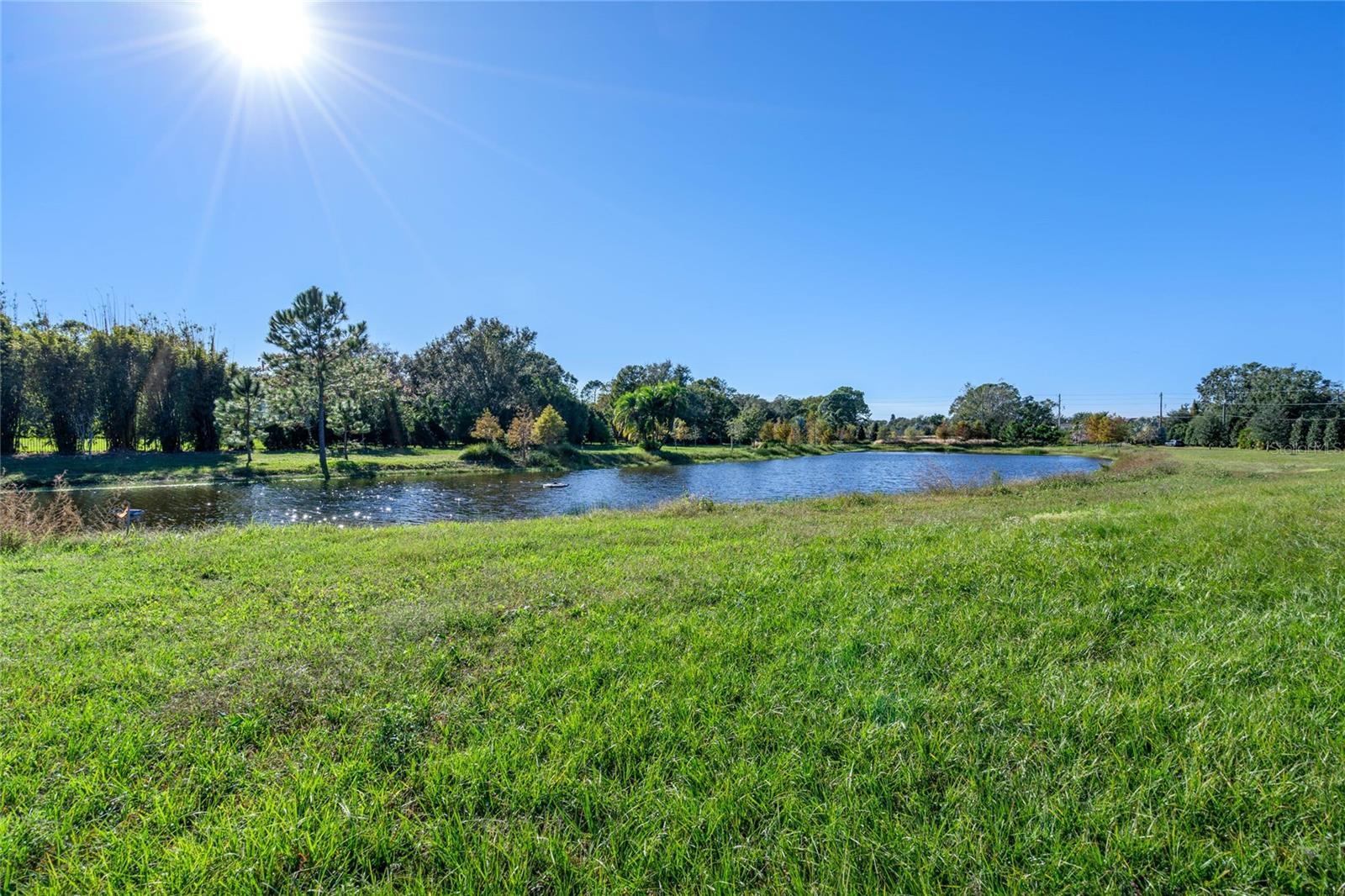 10948 DOWN PARK LN, WINDERMERE, FL — photo 26
