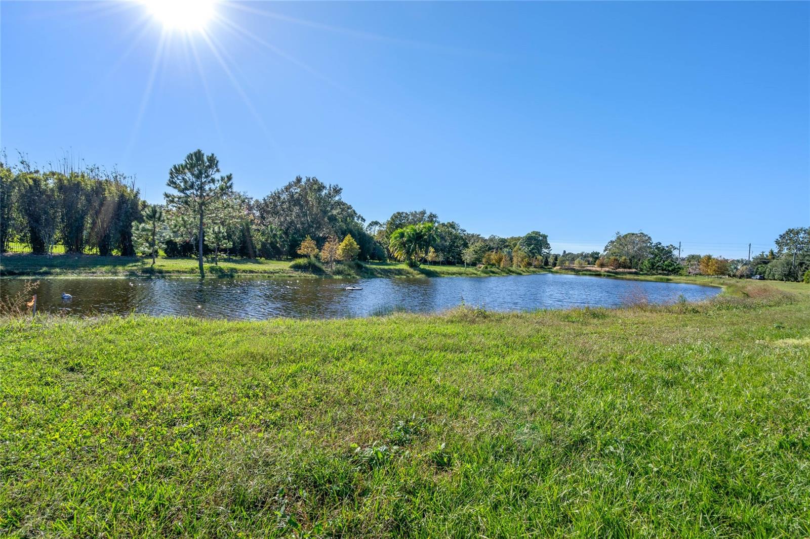 10948 DOWN PARK LN, WINDERMERE, FL — photo 28