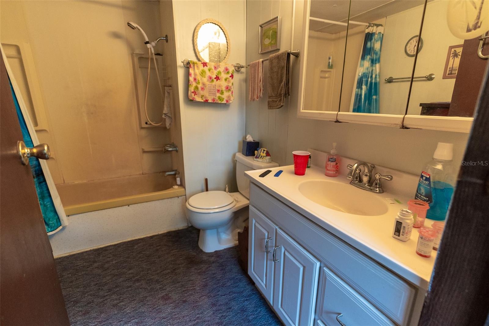 14881 NE 147TH AVE, FORT MC COY, FL — photo 48