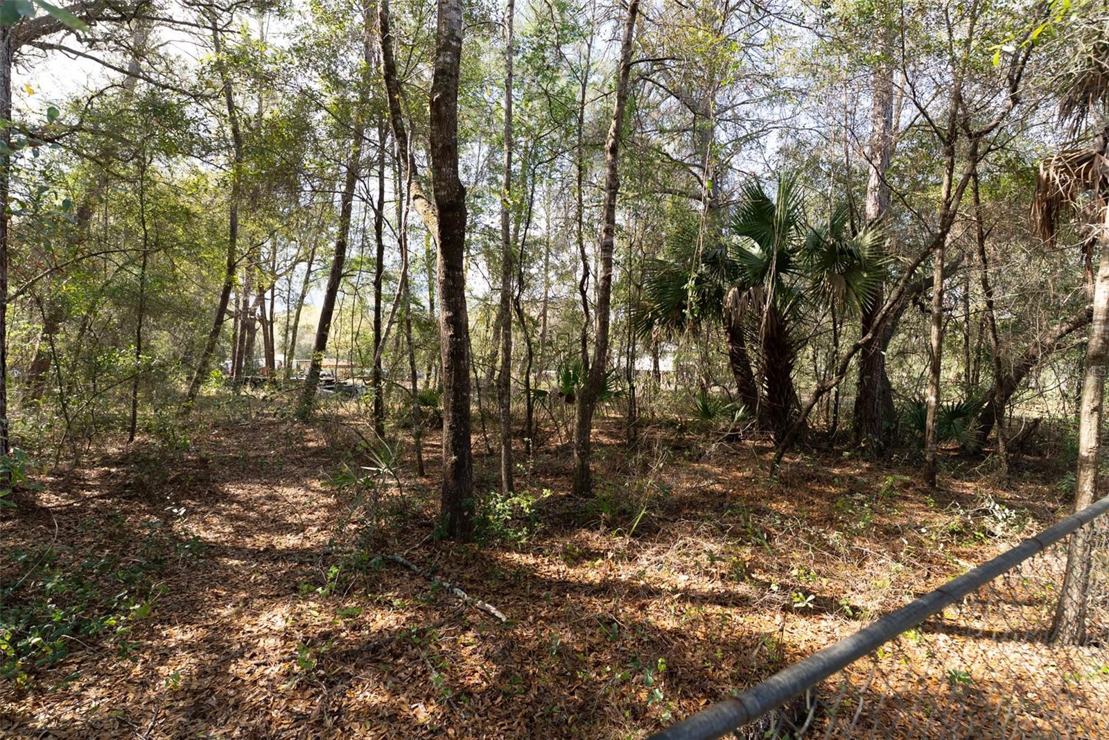 14881 NE 147TH AVE, FORT MC COY, FL — photo 77
