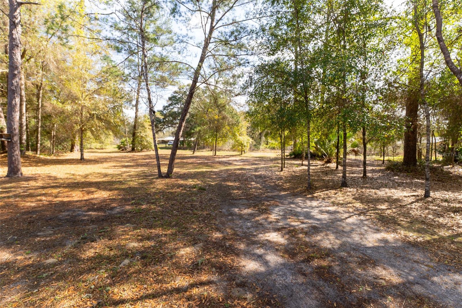 14881 NE 147TH AVE, FORT MC COY, FL — photo 82