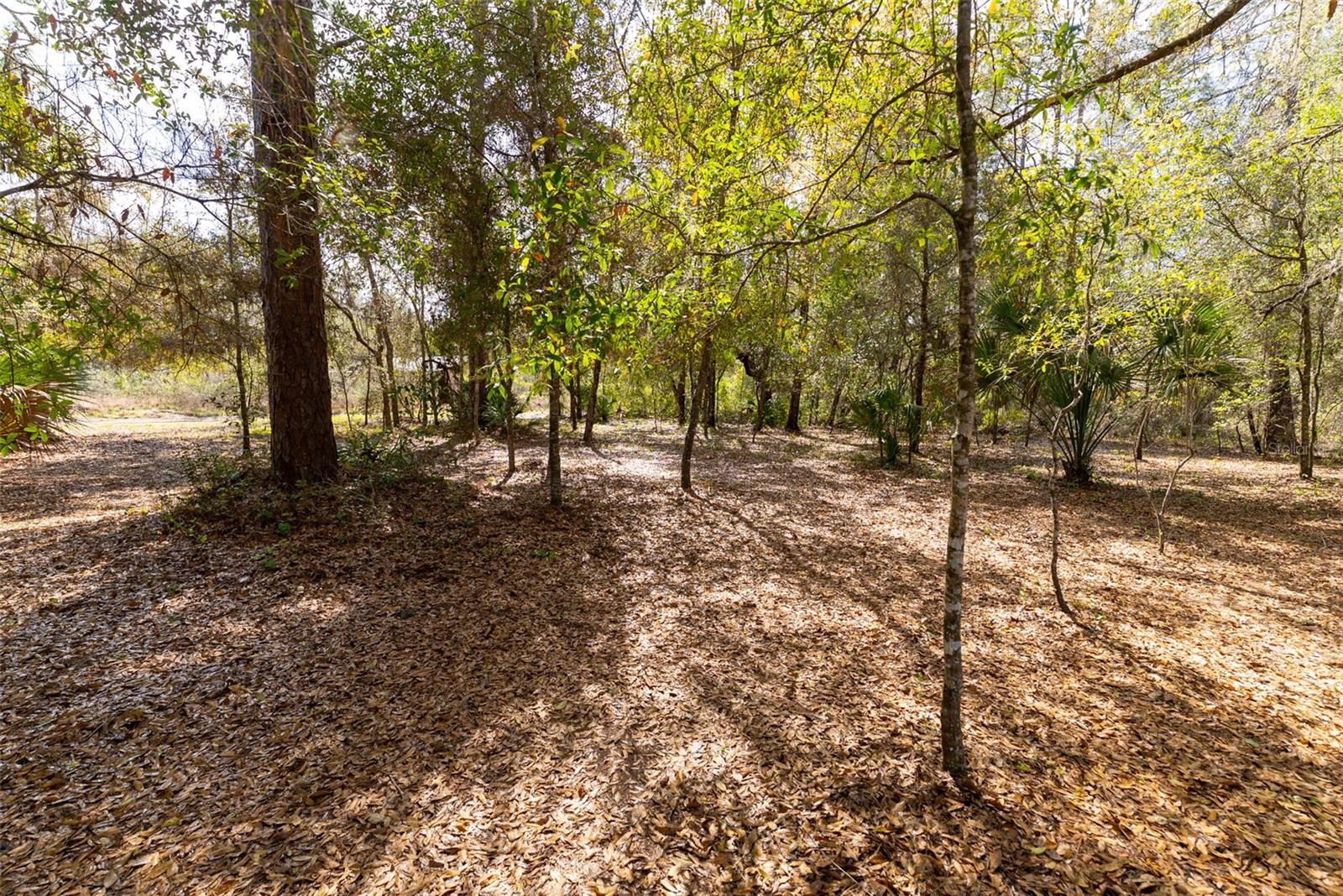 14881 NE 147TH AVE, FORT MC COY, FL — photo 83