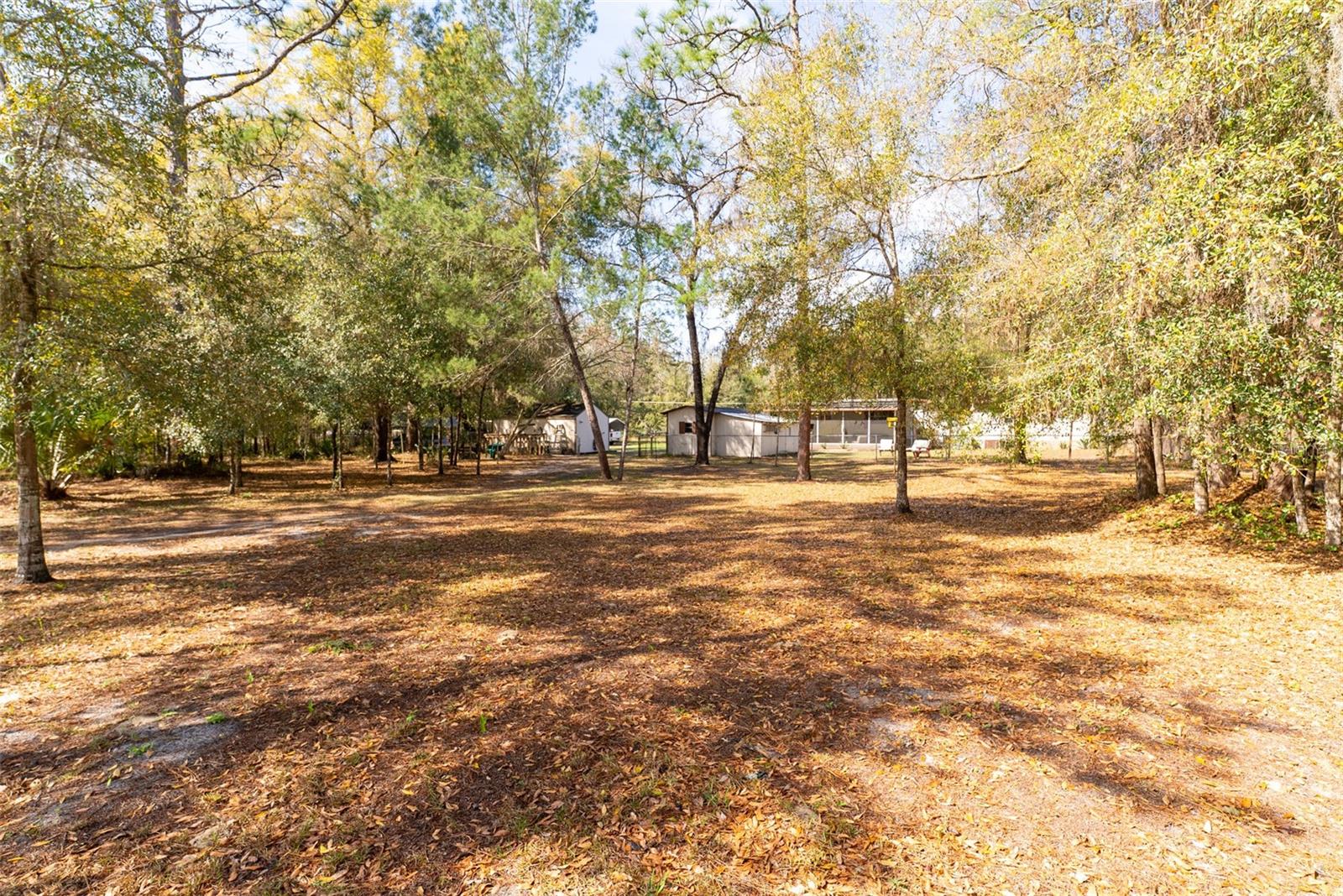 14881 NE 147TH AVE, FORT MC COY, FL — photo 84