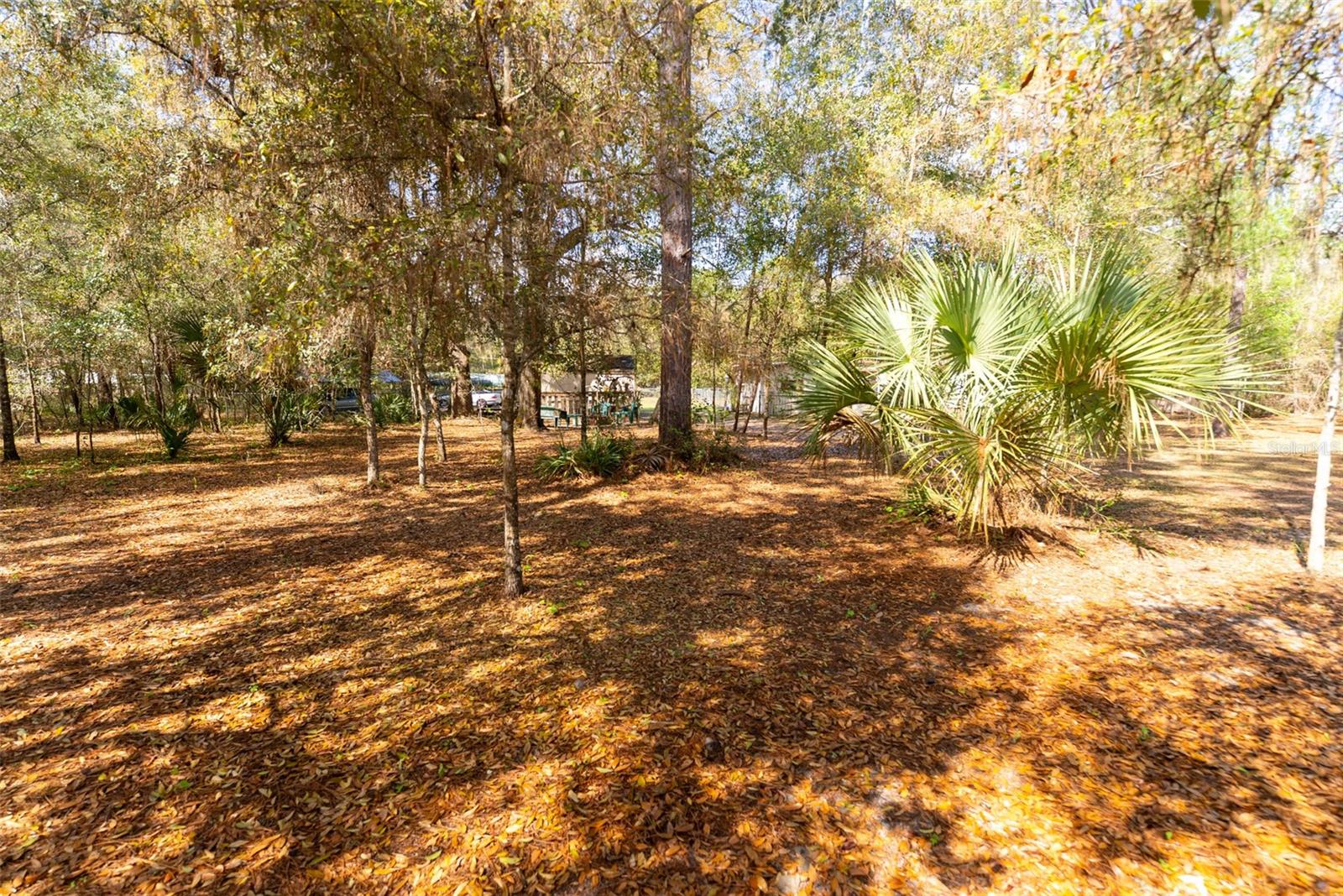 14881 NE 147TH AVE, FORT MC COY, FL — photo 87