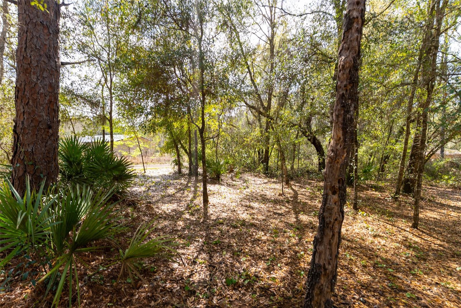 14881 NE 147TH AVE, FORT MC COY, FL — photo 88