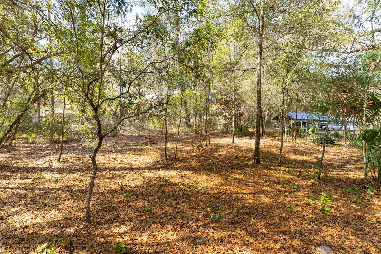 14881 NE 147TH AVE, FORT MC COY, FL — photo 89