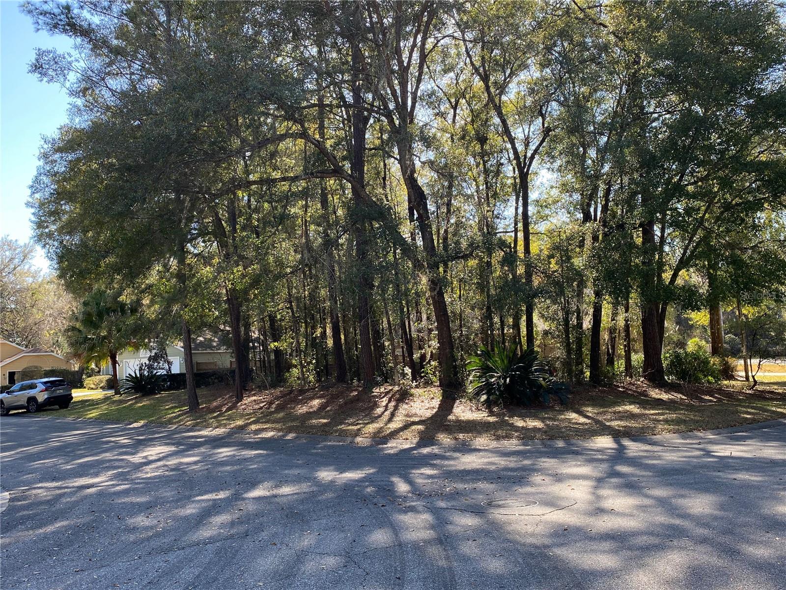 12345 NW 10TH PL, NEWBERRY, FL
