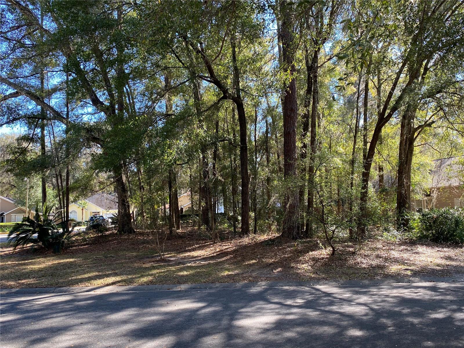 12345 NW 10TH PL, NEWBERRY, FL — photo 3