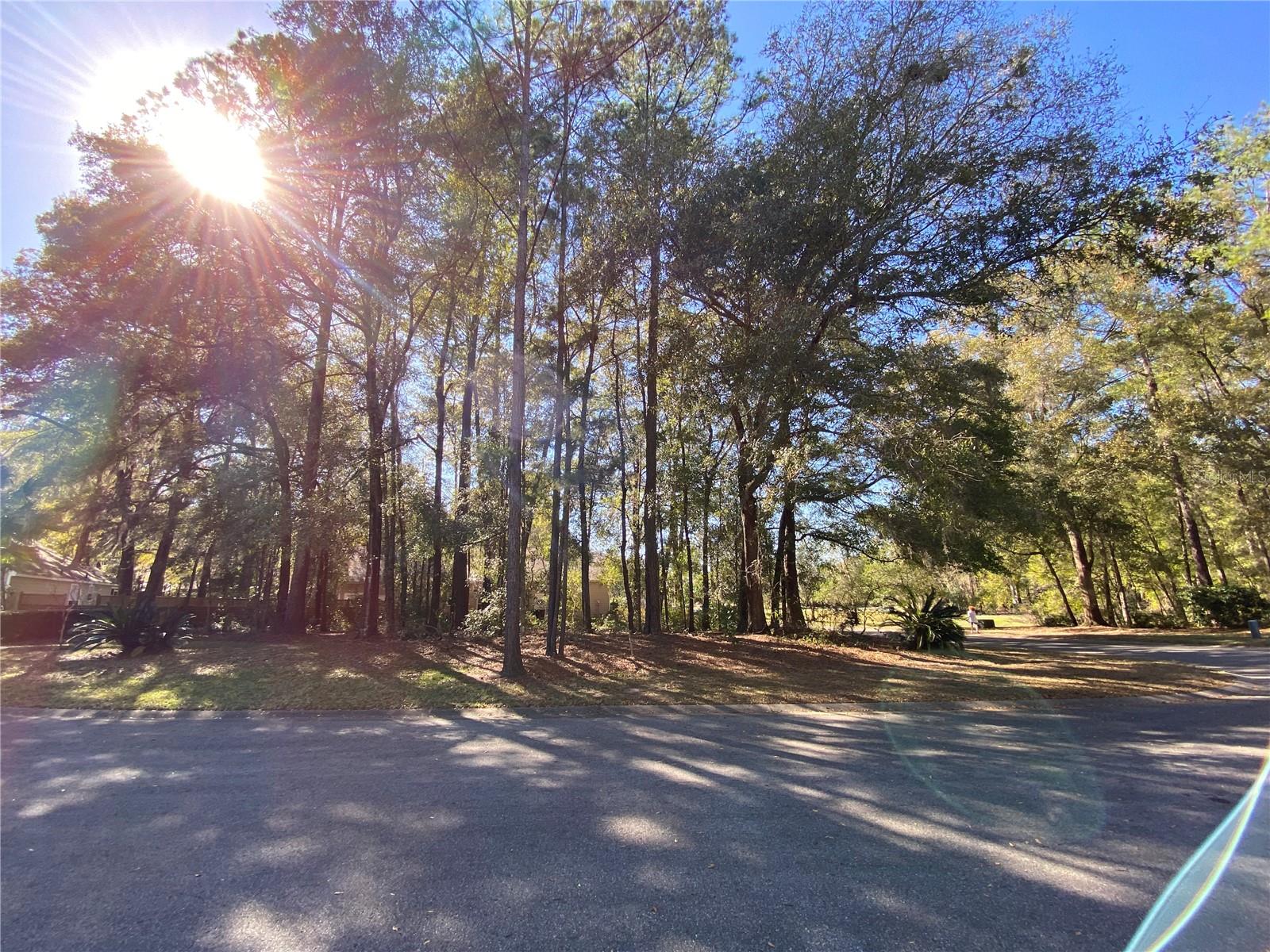 12345 NW 10TH PL, NEWBERRY, FL — photo 4