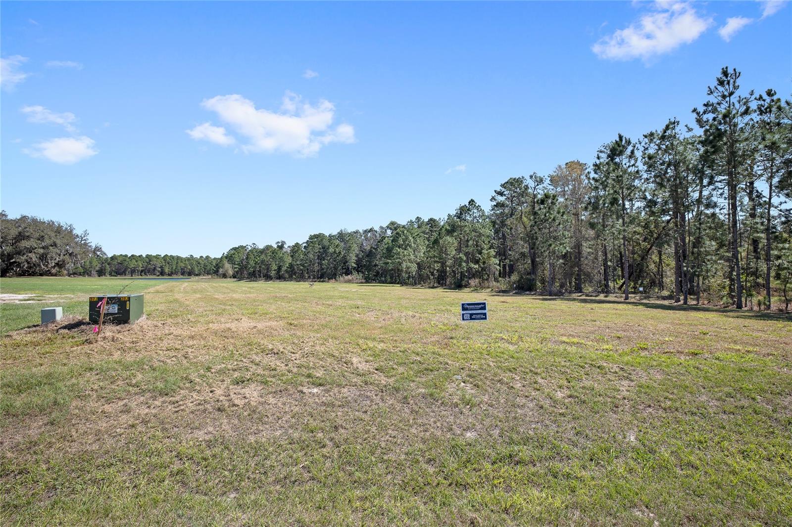 20280 SHORELINE RANCH LN, UMATILLA, FL — photo 3