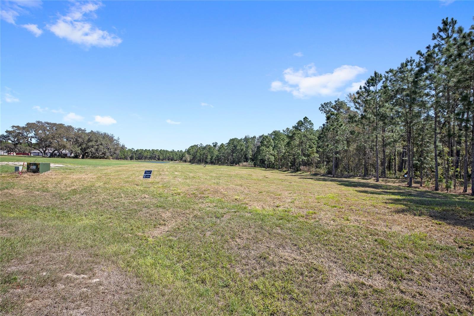 20280 SHORELINE RANCH LN, UMATILLA, FL — photo 5