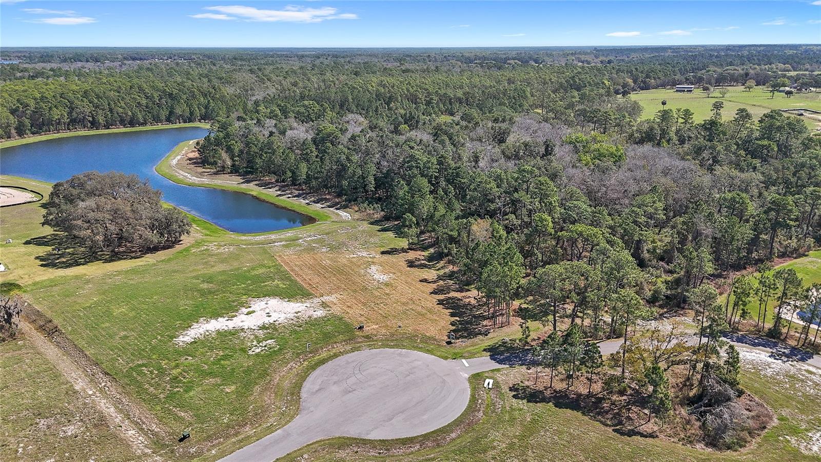 20280 SHORELINE RANCH LN, UMATILLA, FL — photo 11