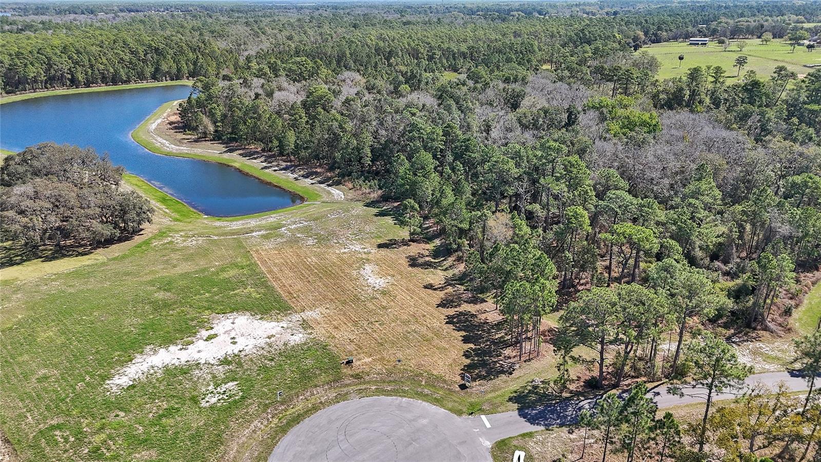 20280 SHORELINE RANCH LN, UMATILLA, FL — photo 14