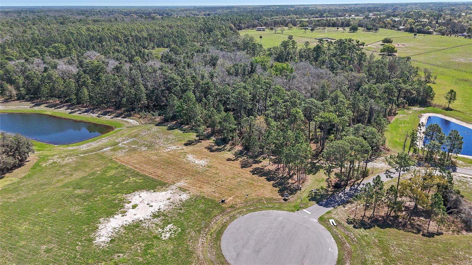 20280 SHORELINE RANCH LN, UMATILLA, FL — photo 17