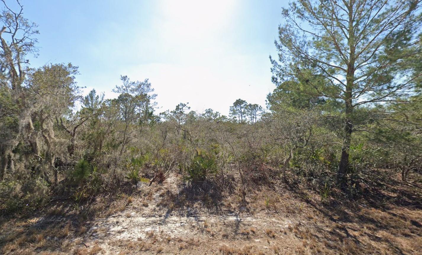 3235 N DAHLIA DR, LAKE PLACID, FL