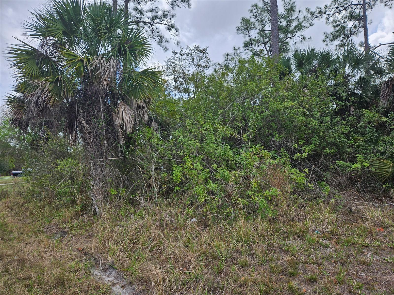20339 BACHMANN BLVD, PORT CHARLOTTE, FL — photo 2