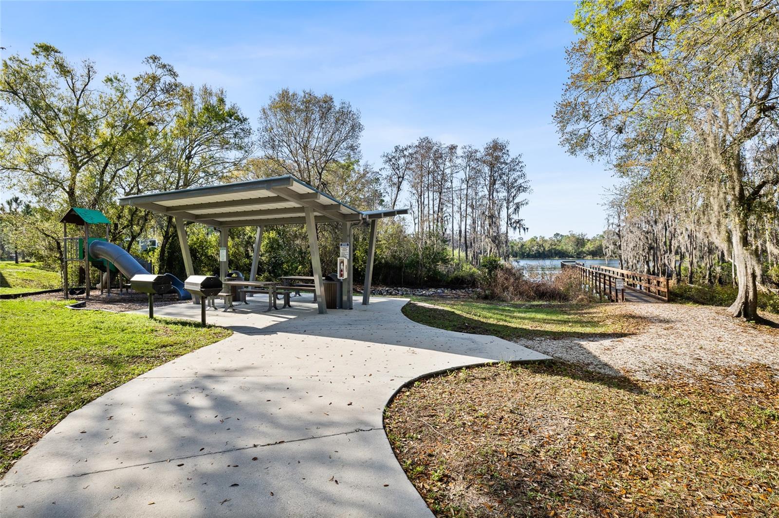 14205 DAMSELFLY DR, TAMPA, FL — photo 20