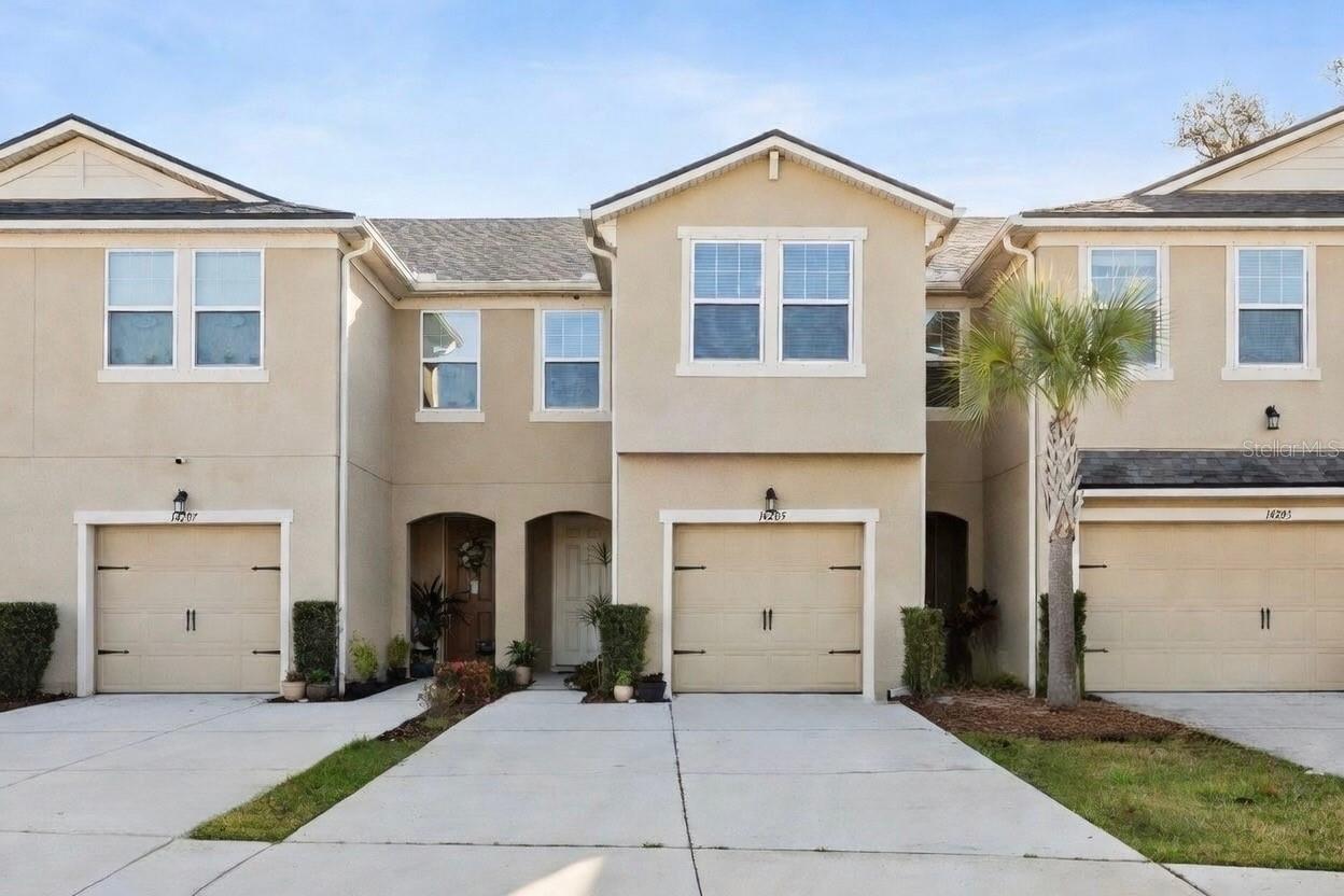14205 DAMSELFLY DR, TAMPA, FL