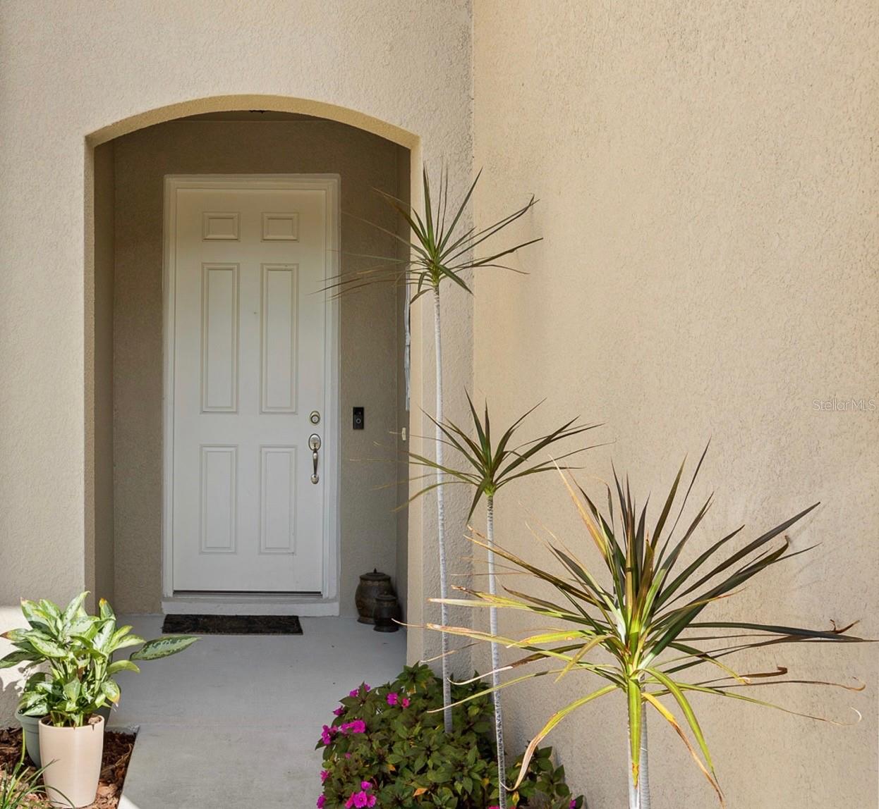 14205 DAMSELFLY DR, TAMPA, FL — photo 3