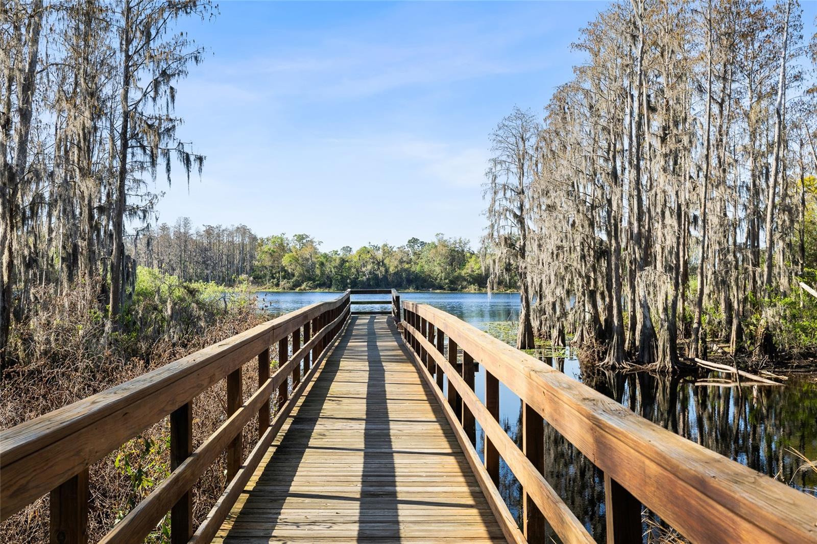 14205 DAMSELFLY DR, TAMPA, FL — photo 22