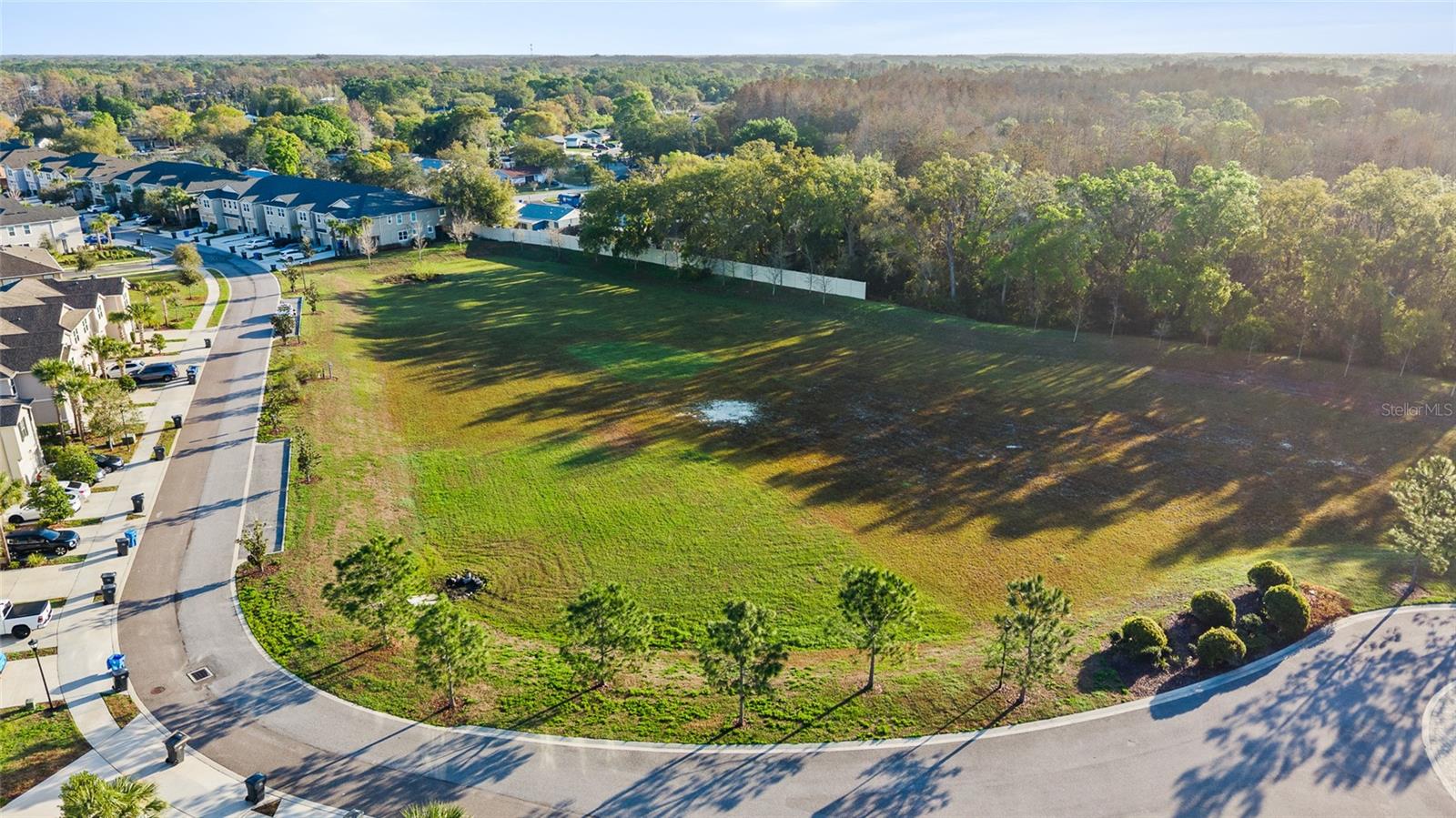 14205 DAMSELFLY DR, TAMPA, FL — photo 26