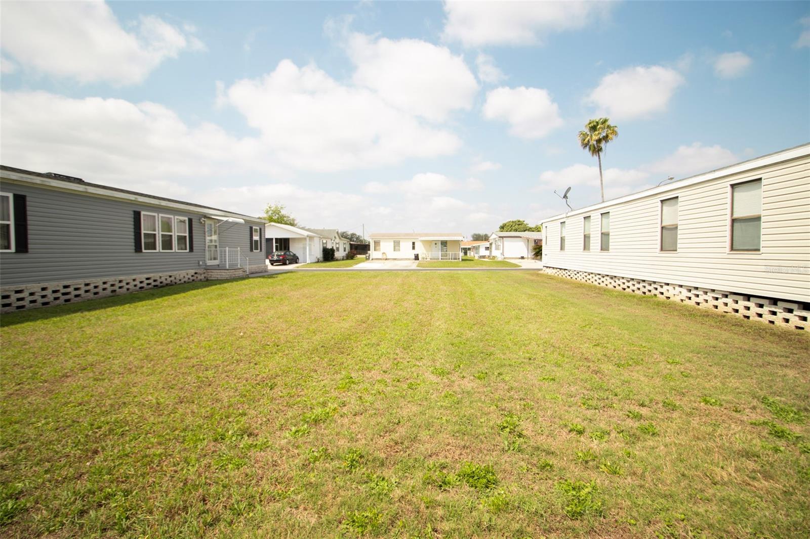 3024 BRIAR ST, WESLEY CHAPEL, FL — photo 8