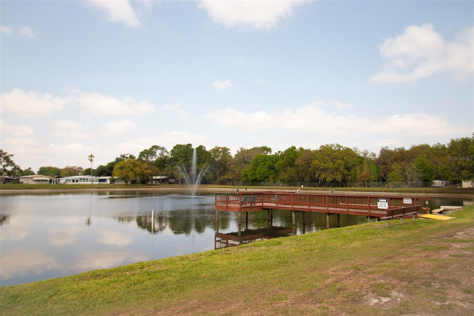 3024 BRIAR ST, WESLEY CHAPEL, FL — photo 15