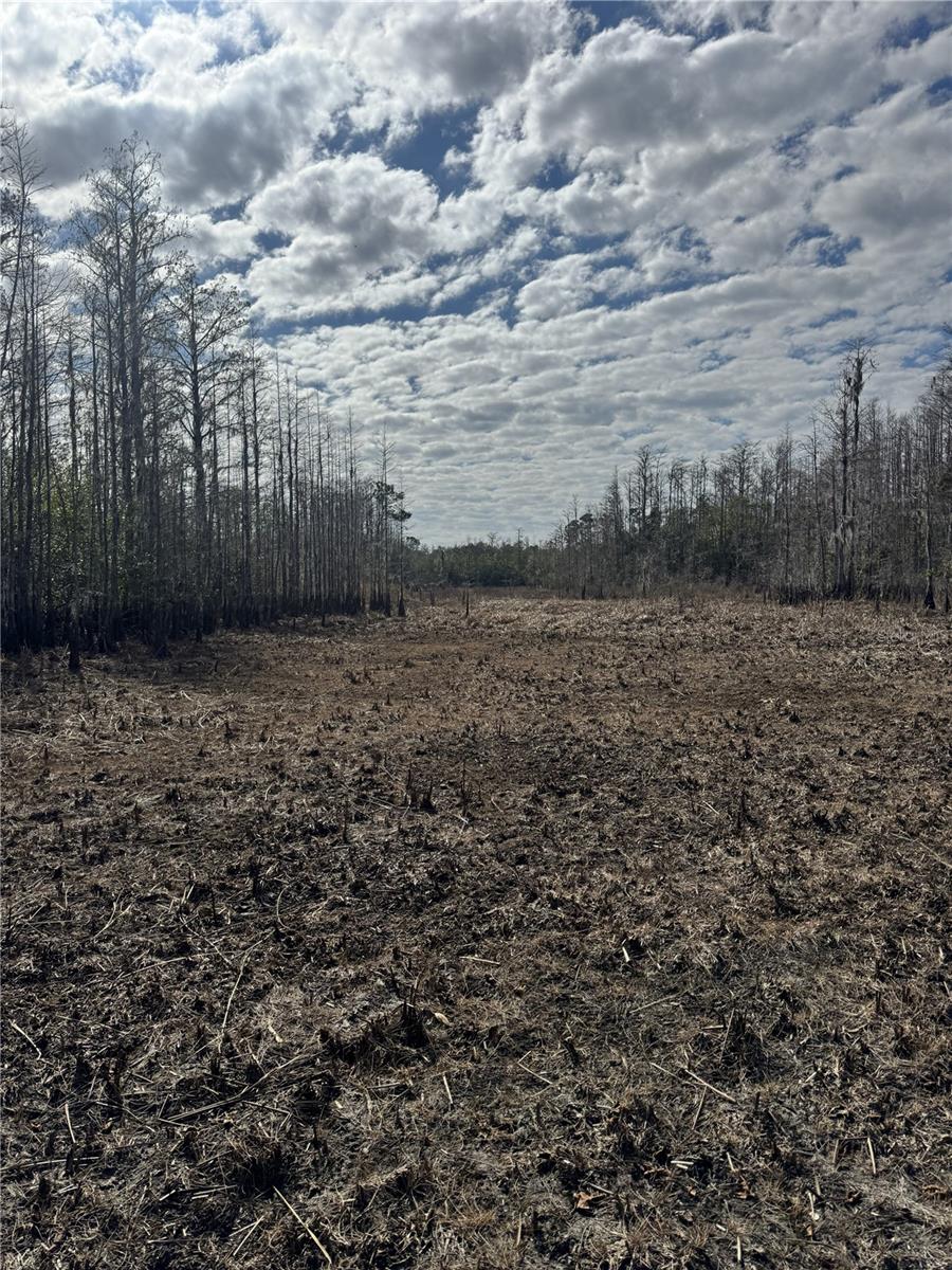, GROVELAND, FL — photo 23