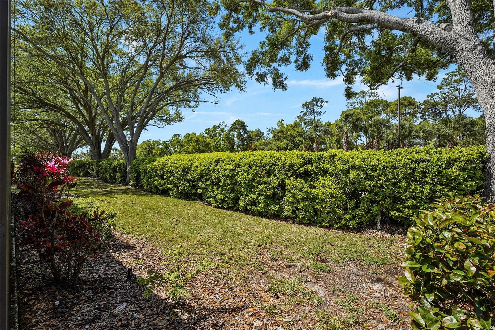 7161 DREWRYS BLF, BRADENTON, FL — photo 44