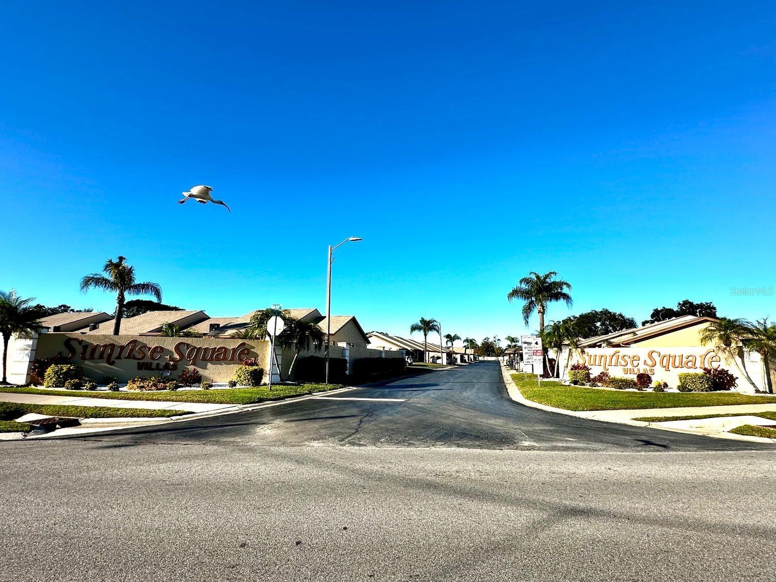 4749 SUNNY LOOP #4749, HOLIDAY, FL — photo 23