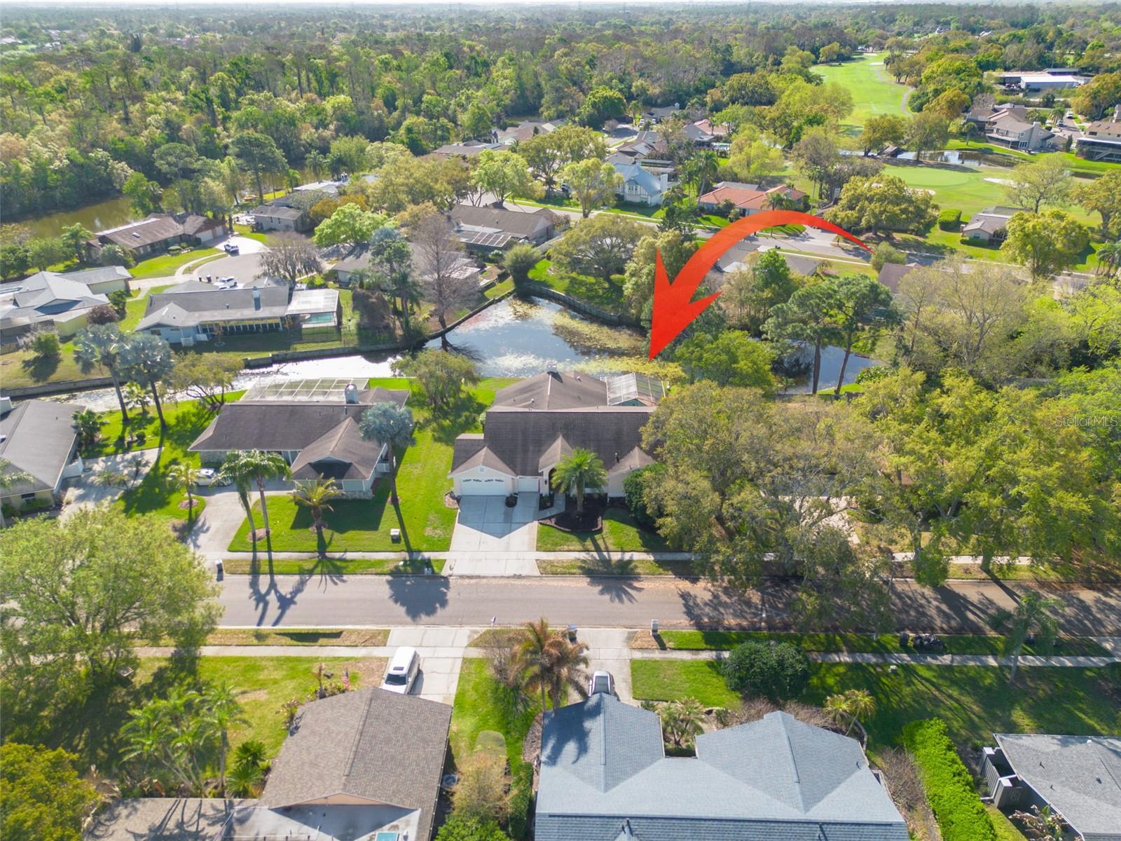 470 HICKORYNUT AVE, OLDSMAR, FL — photo 28